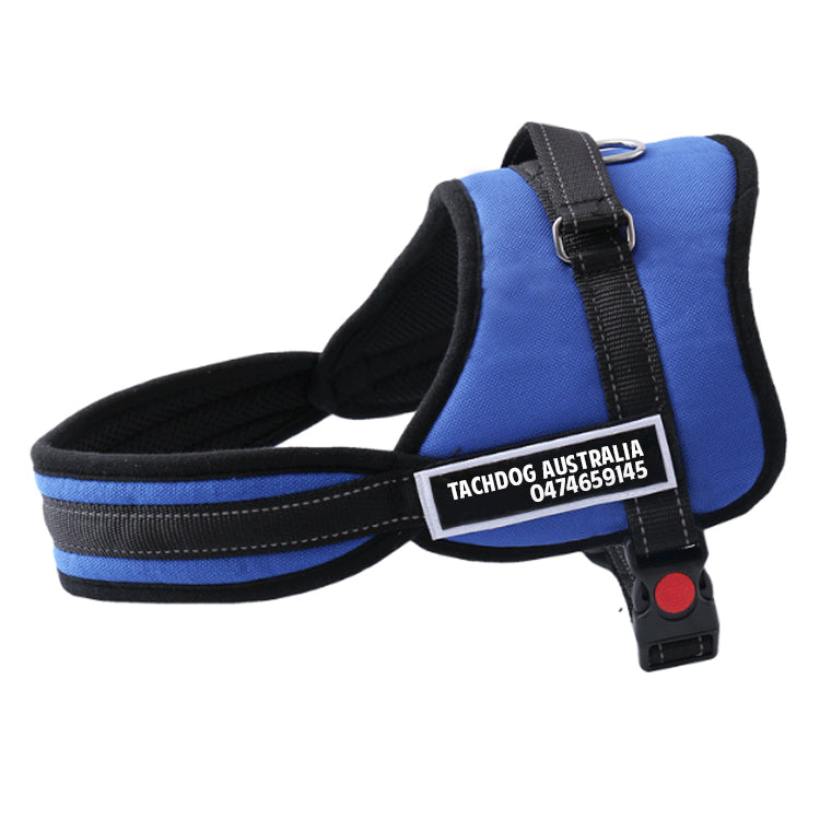 No pull cheap harness australia