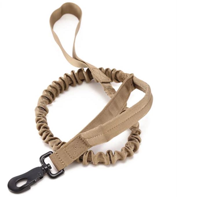 Leads & Leashes