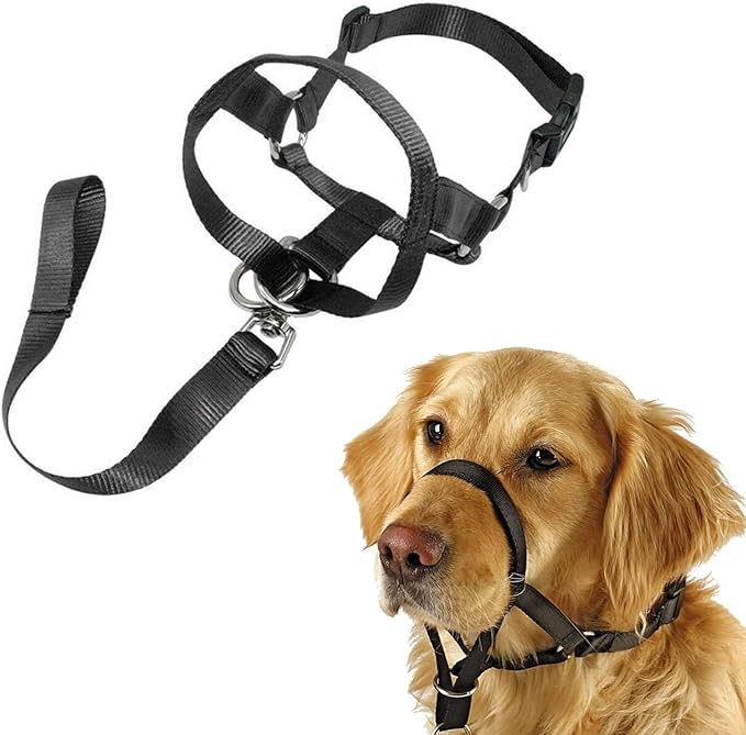 Head Collar