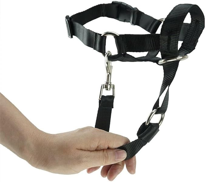 Head Collar