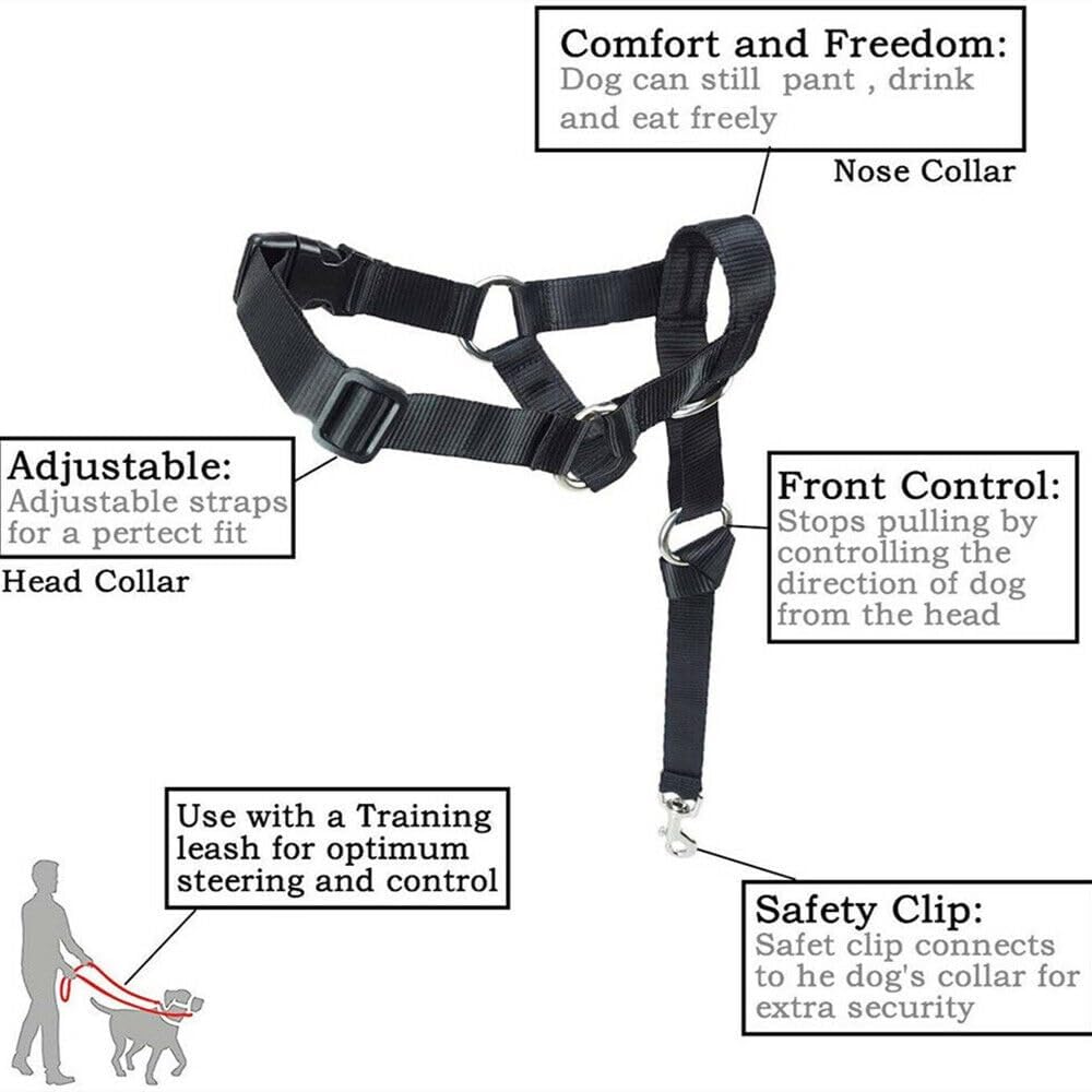 Head Collar