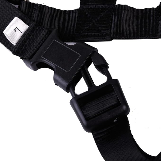 Head Collar