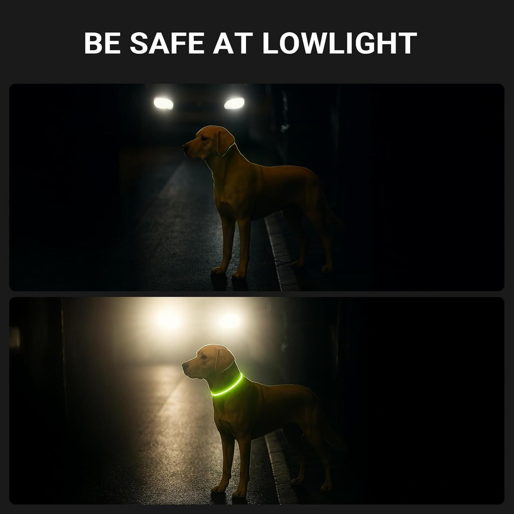 LED Collar