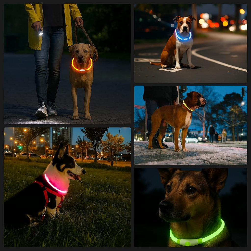 LED Collar