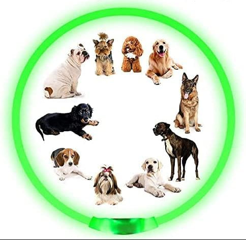 LED Collar