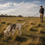 DOG TRAINING LEAD 6ft