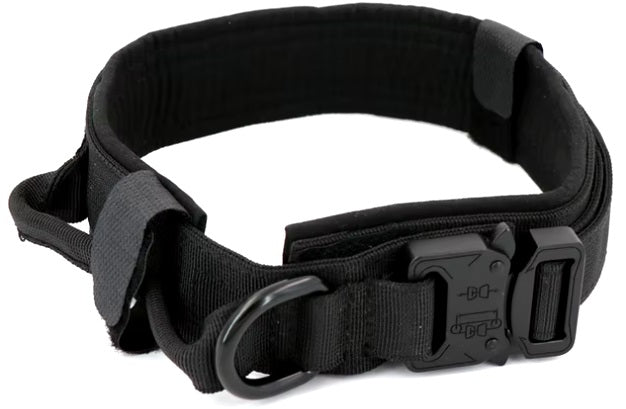 tachdog collar black