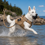 Tactical Dog Harness & Lead