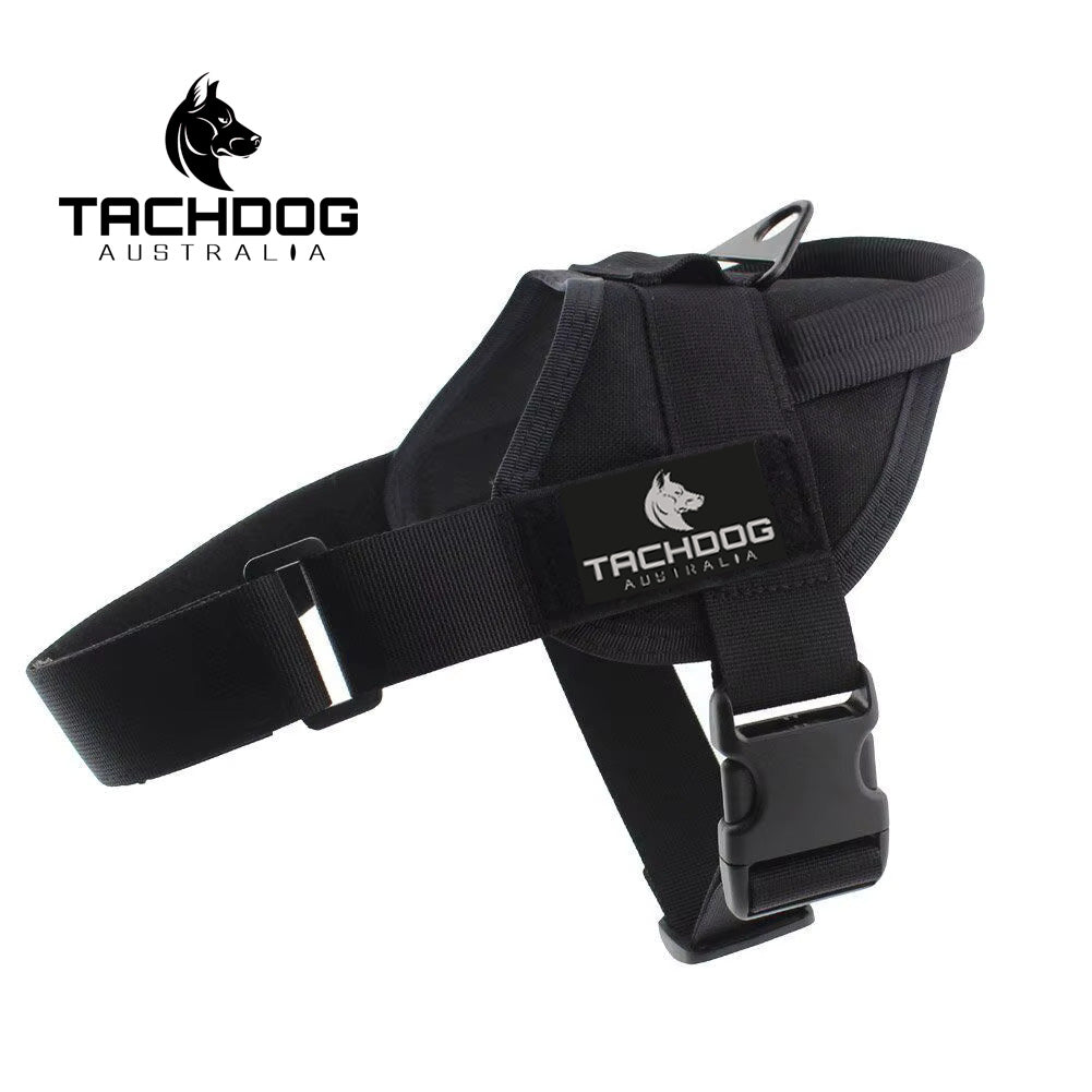 Training Harness