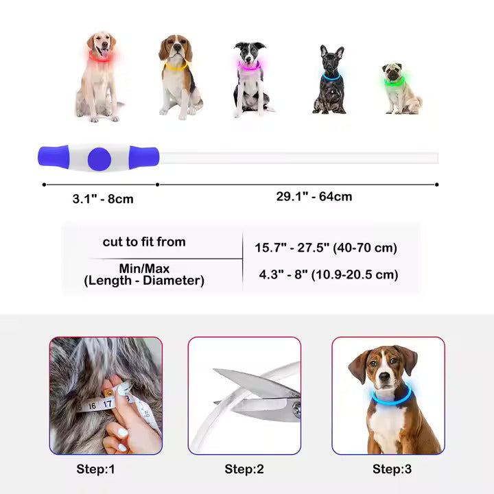 LED Collar