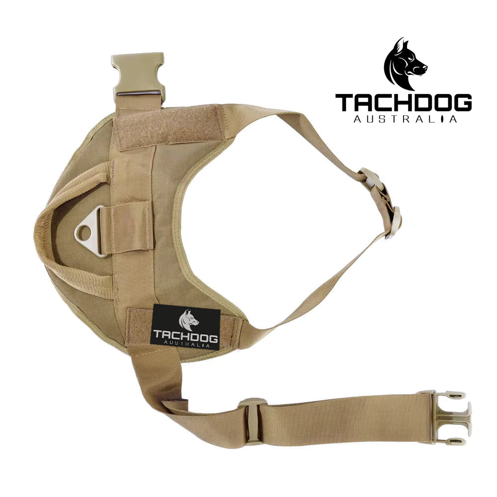 Training Harness