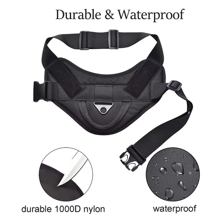 Training Harness