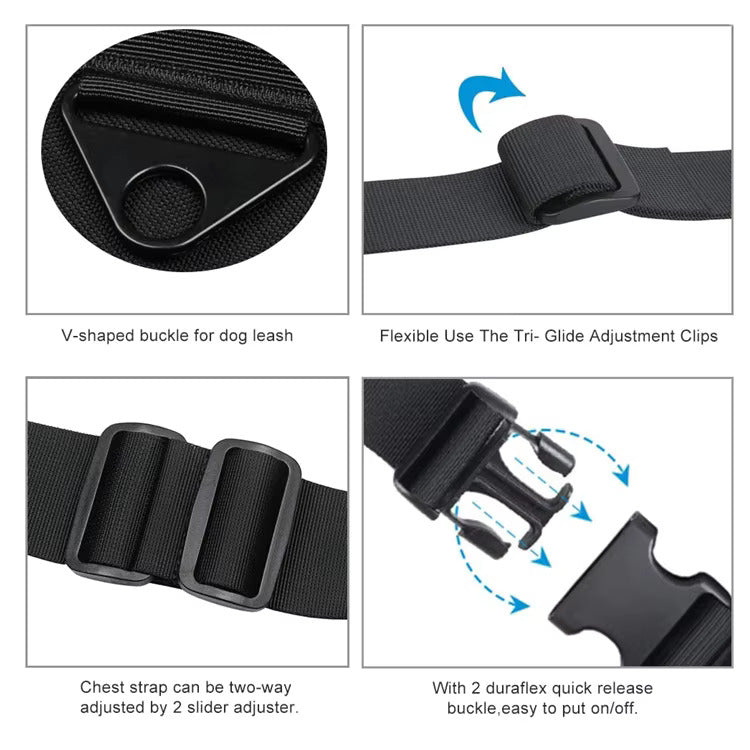 Training Harness