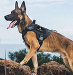 Tactical Dog Harness & Lead