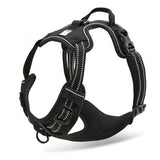 Body Fit Dog Harness