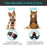 Body Fit Dog Harness