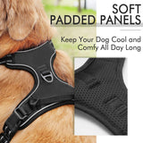 Body Fit Dog Harness