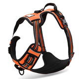 Body Fit Dog Harness