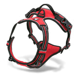 Body Fit Dog Harness